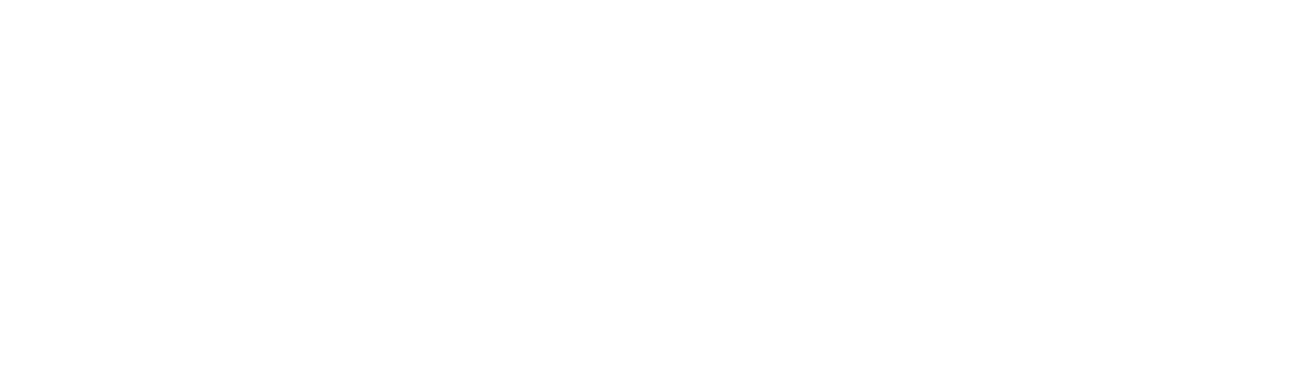 Support Hosting2GO